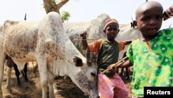 ‘Ya'yan Fulani.