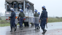 Udaba Esilethulelwe NguAnnastacia Ndlovu