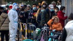 推特上的中國：中央防疫政策不清北京時隔三年又“封了”？
