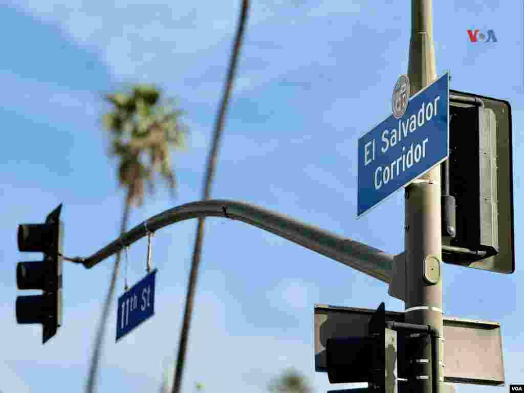 A pocos días de las elecciones, la más amplia diáspora salvadoreña en EEUU, con centro en Los Ángeles, se moviliza para votar.