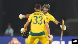 India Cricket WCup