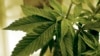 Marihuana