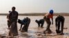 Les accusations de travail des enfants, de conditions de travail dangereuses et de corruption dans le secteur artisanal pèsent sur l'ensemble de l'industrie du cobalt en RDC.