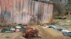 UN Report Says Ethnic Violence Kills Up to 15,000 in 1 Sudan City