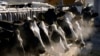 ARCHIVO: Una hilera de vacas Holstein se alimentan en una granja de leche en Idaho, EEUU, en marzo de 2009. 
