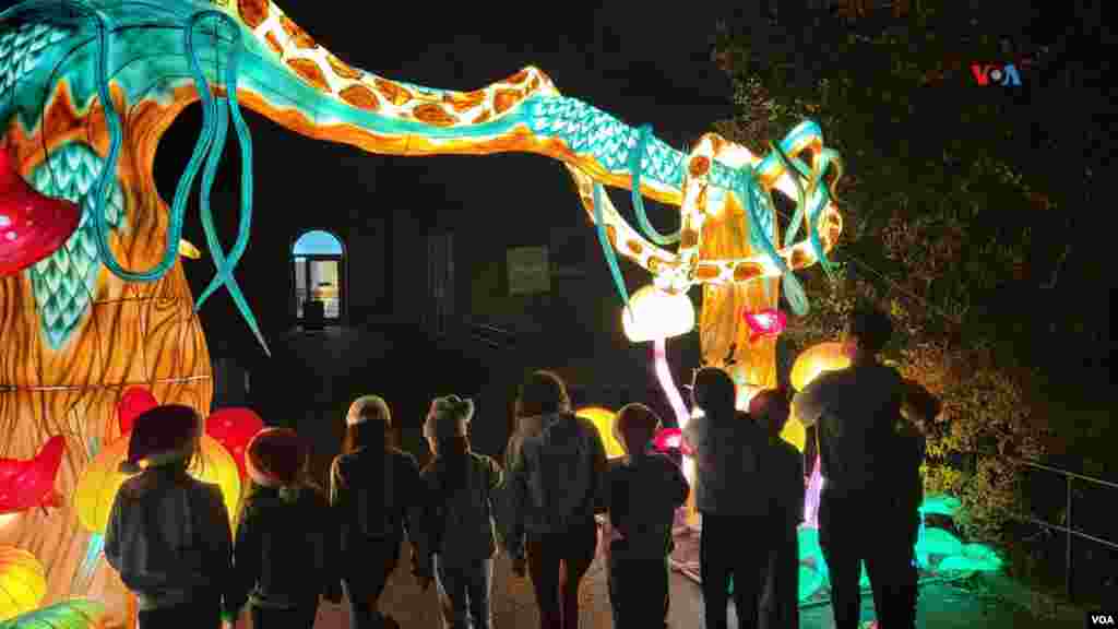 'Zoolights 2023' es diversión para adultos y niños que aprecian los iluminados senderos.