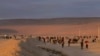 پیرو ۲۳ مهاجر افغان را از چنگ قاچاقبران انسان نجات داد