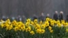 16x9 Image