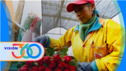 Visión 360: EEUU invierte en sector agrícola de Ecuador