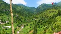د بونیر د ګوکند درې تاغان چړ ھم د سوات د چړونو په څېر ښکلی دی