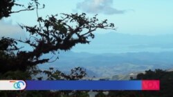 Energías limpias: Una de las razones que conservan la biodiversidad de Costa Rica