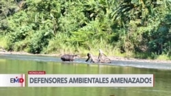 Honduras: Ambientalistas bajo amenazas 