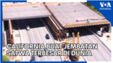 YT Thumb - Liputan BERITA/EKONOMI/TEKNO - Liputan BERITA