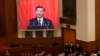 世界媒体看中国：权力与改革的涨落
