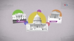 ¿Cuál es la función del Senado y la Cámara de Representantes?