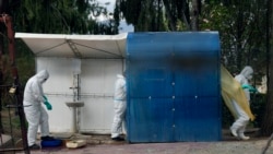 La Organización Mundial de la Salud evalúa como bajo el riesgo actual que representa el virus de la gripe aviar para las personas

