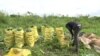 Nigerian food bank directs surplus and unsellable goods to the vulnerable