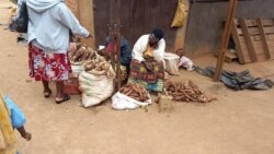 Murisanga