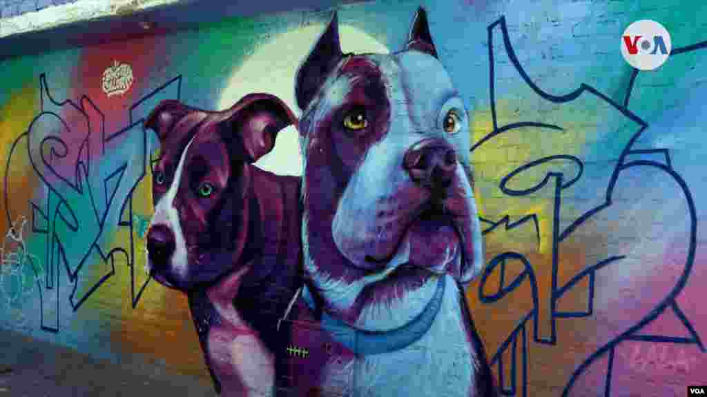 El artista May le dijo a la Voz de América, que sus murales buscan embellecer Ciudad Bolívar por medio de color, la creativida y el talento. FOTO: Johan Reyes, VOA.