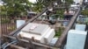 A lamppost attached with electrical transformer is seen damaged by Cyclone Mocha lines on a street in Gwa township, Rakhine State, May 14, 2023.