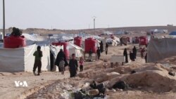 Kurd Hişyarî Didin DAIŞ'ê li Kampa Holê Dewletek Biçûk Çêkiriye