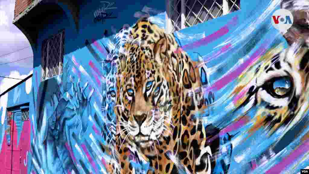 Un inmenso mural con la imagen de un Jaguar en una casa en Ciudad Bolívar, una de las obras del artista May, que junto con Luisa, es el el creador, la mayoría de los murales que se pueden apreciar durante el recorrido por esta barriada en Bogotá. FOTO: Johan Reyes, VOA. 