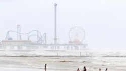 Autoridades de Florida prohibieron el uso de playas del sur del estado tras detectar niveles excesivos de contaminación fecal.