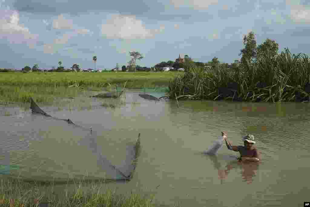 A man fishes in the flood water from recent rain at Tomnup Trent outside Phnom Penh Cambodia (AP Photo/Heng Sinith)