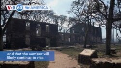 VOA60 America - At least 55 confirmed dead in Hawaii fires