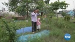 ရာသီဥတုဖောက်ပြန်မှုကြောင့် ရောဂါဘယတိုးလာ