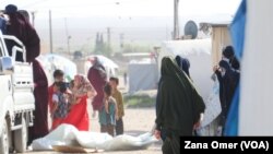 Malbatên DAIŞê li Kampa Holê, beşa Biyaniyan