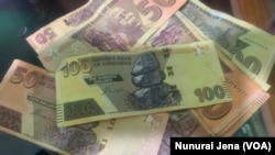 Vezvitoro vanonzi vari kuramba kutambira dhora remunyika nekuda kwekusagadzikana kwaro.