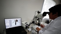 Honduras extrema medidas de previsión frente al avance del dengue
