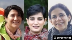 نیلوفر حامدی، الهه محمدی و نسیم سلطان‌بیگی