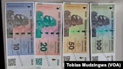 New Zimbabwe Currency, The ZiG