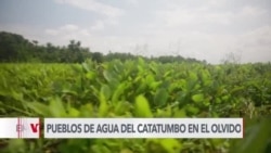 Crisis venezolana golpea a comunidades recónditas del Catatumbo 