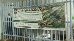 Kenya : l'agriculture urbaine pour améliorer la sécurité alimentaire