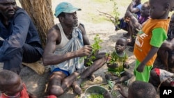 Des déplacés arrachent les feuilles des branches, se préparant à les faire bouillir et à les manger dans l'État de Jonglei, au Soudan du Sud, le 5 mai 2023.