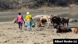 Omama bemaphandleni eMatabeleland South bakhala ngenhlupho ezinengi ababhekane lazo ezigoqela ukusilela kwamanzi lokuswela imali yokunakekela izimuli zabo.