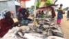 Les vendeuses de poisson préfèrent le goudron aux marchés couverts