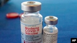 FILE - This Sept. 21, 2021 file photo shows vials of the Pfizer and Moderna COVID-19 vaccines in Jackson, Miss.