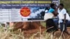 Mikusanyiko ya kidini yalaumiwa kwa kuenea kwa Surua Zimbabwe