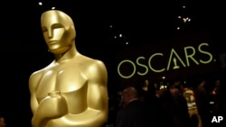 El director de casting David Rubin fue elegido presidente de la Academia de las Artes y Ciencias Cinematográficas. 