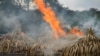 FILE - Ivory piles begin to burn at Nairobi National Park, Kenya, April 30, 2016. 