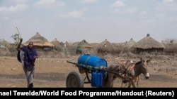 Seorang perempuan menggunakan keledai untuk mengirim air ke wilayah yang terdampak kekeringan di Higlo Kebele, Adadle woreda, Ethiopia. (Foto: World Food Programme/Handout via Reuters/Michael Tewelde)