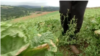 16x9 Image