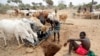 Peu émettrice de gaz à effet de serre par rapport aux autres continents plus riche, l'Afrique est par contre particulièrement vulnérables aux effets du changement climatique.