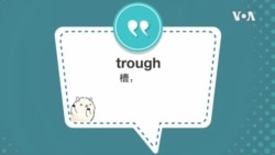 学个词 - trough