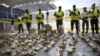 Insight Crime: Venezuela corre el riesgo de convertirse en el cuarto productor global de cocaína 