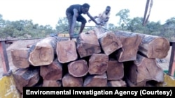 Un chargement de bois de rose au Mali. (crédit : Environmental Investigation Agency)